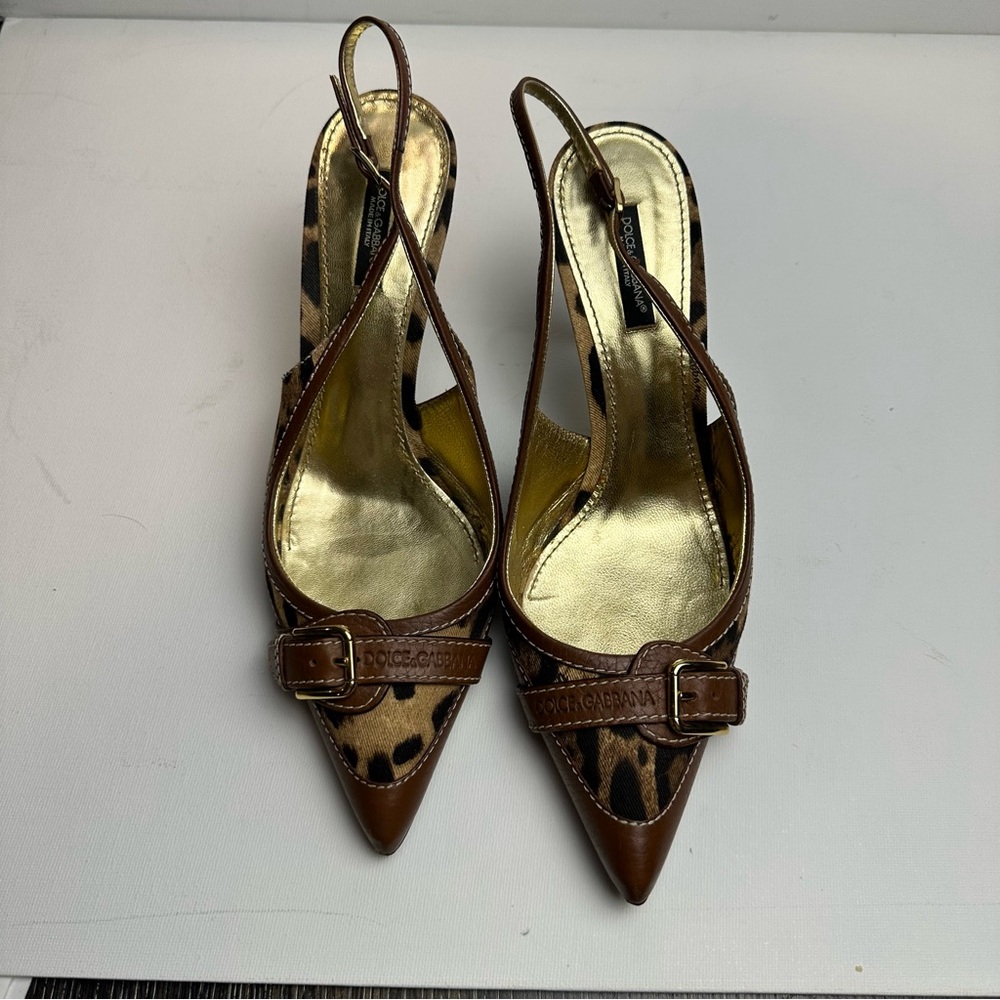 Dolce & Gabbana Leopard Print Heels with Gold Accents